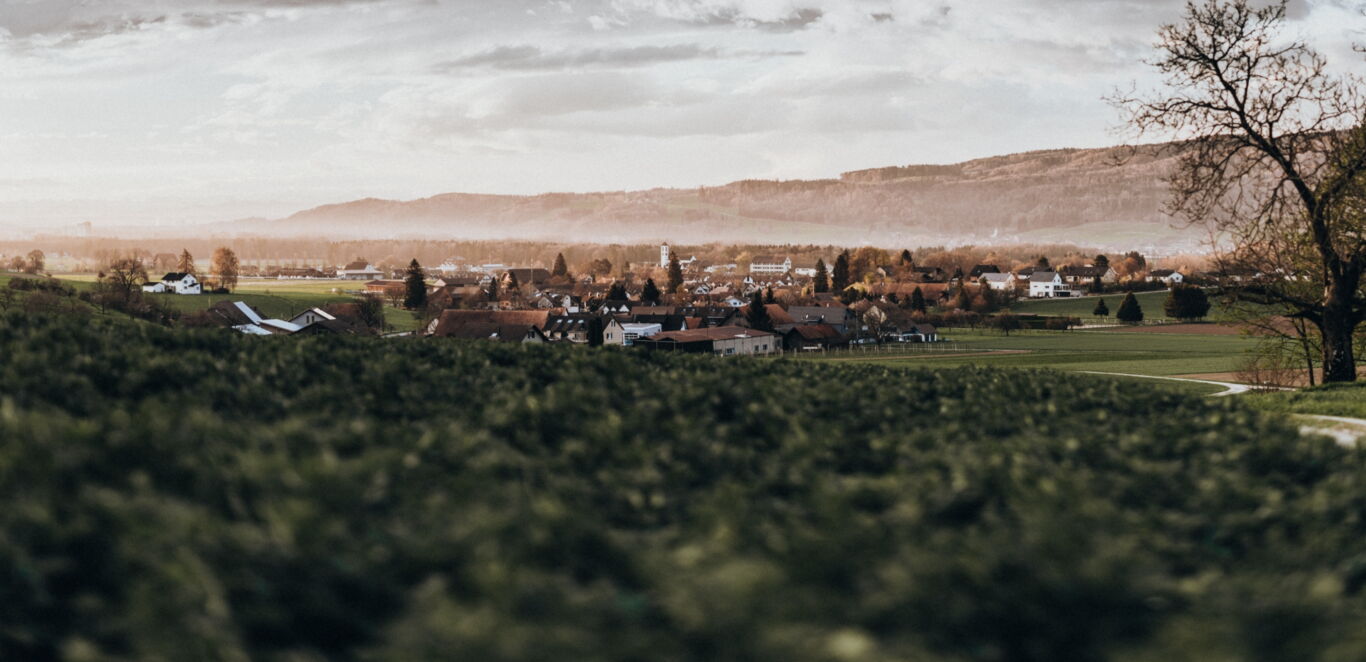 Herzlich willkommen in der Gemeinde Pfyn Gemeinde Pfyn